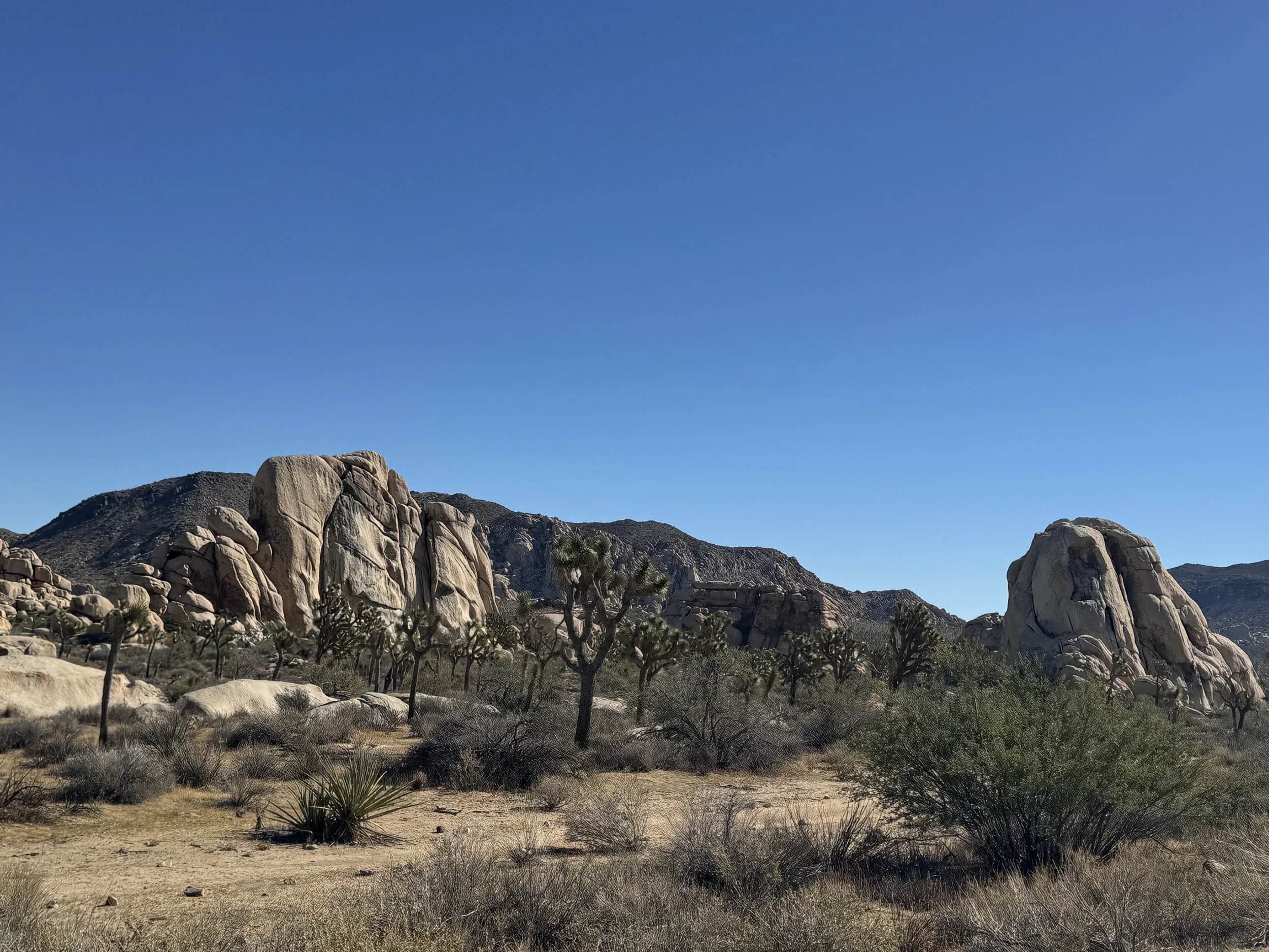 West Entrance, Joshua Tree National Park