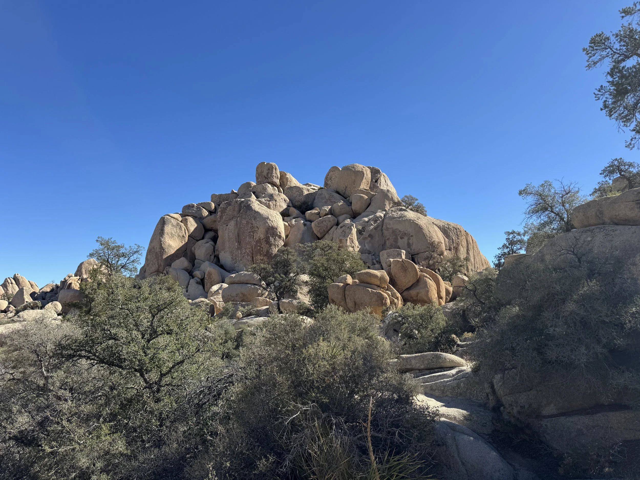 Hidden Valley Trail, Joshua Tree National Park