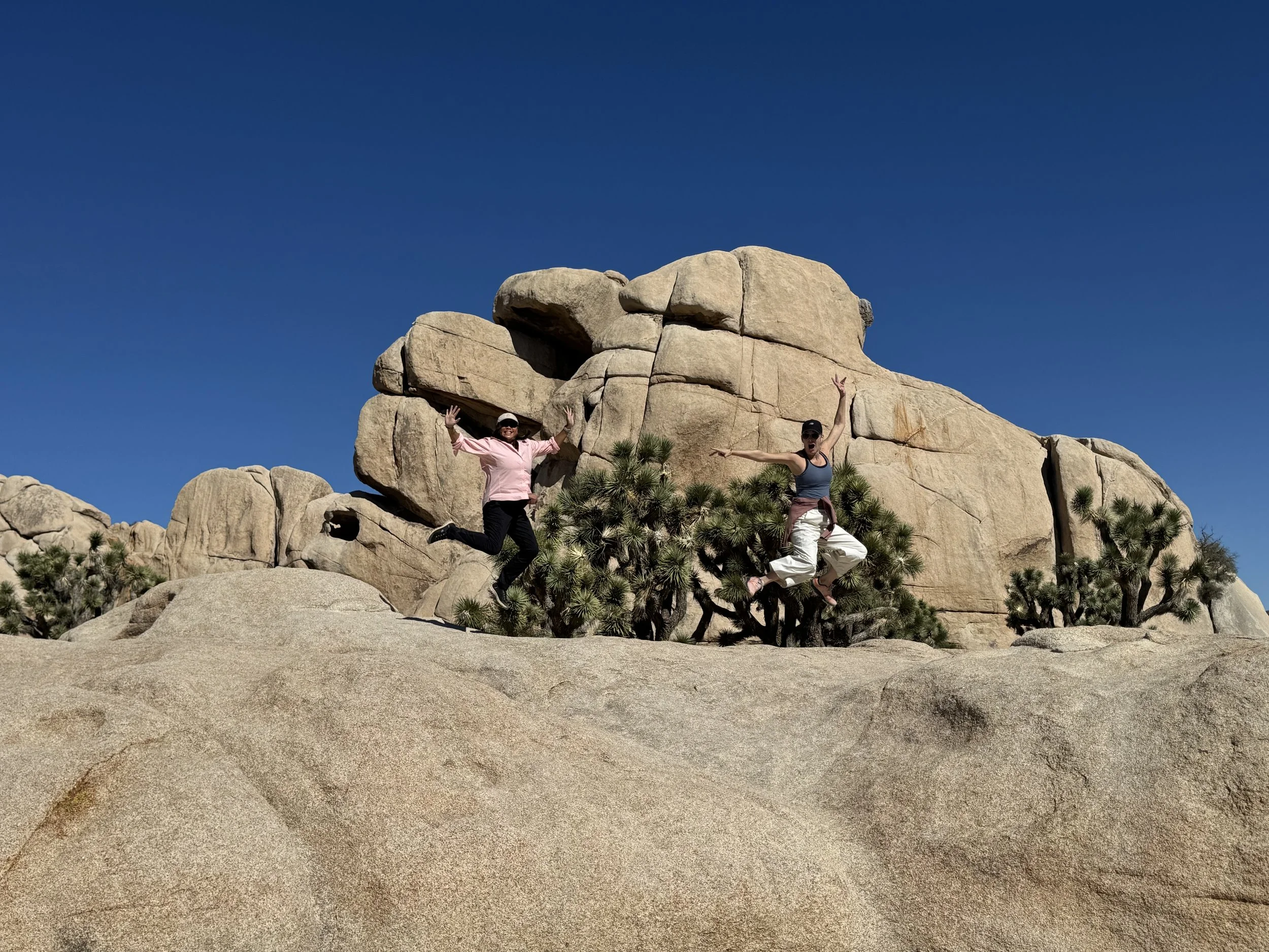 Intersection Rock Area, Joshua Tree National Park