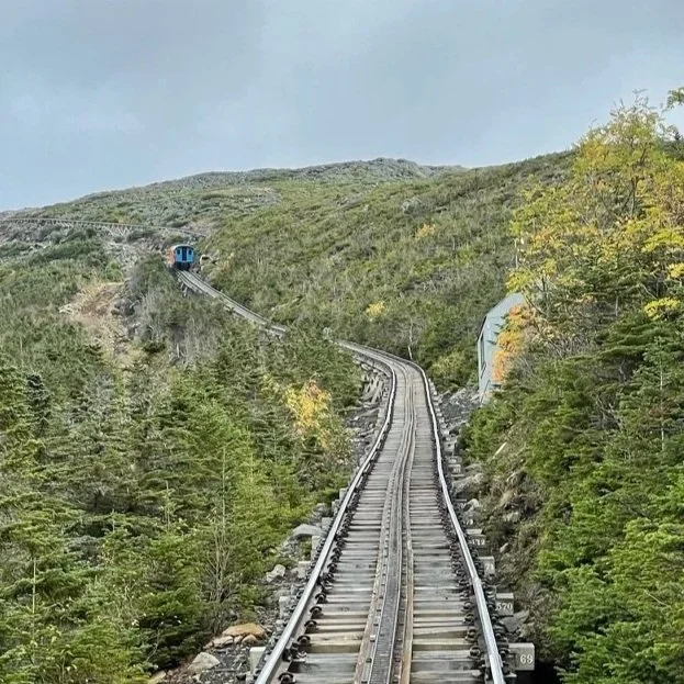 Cog Train Tracks