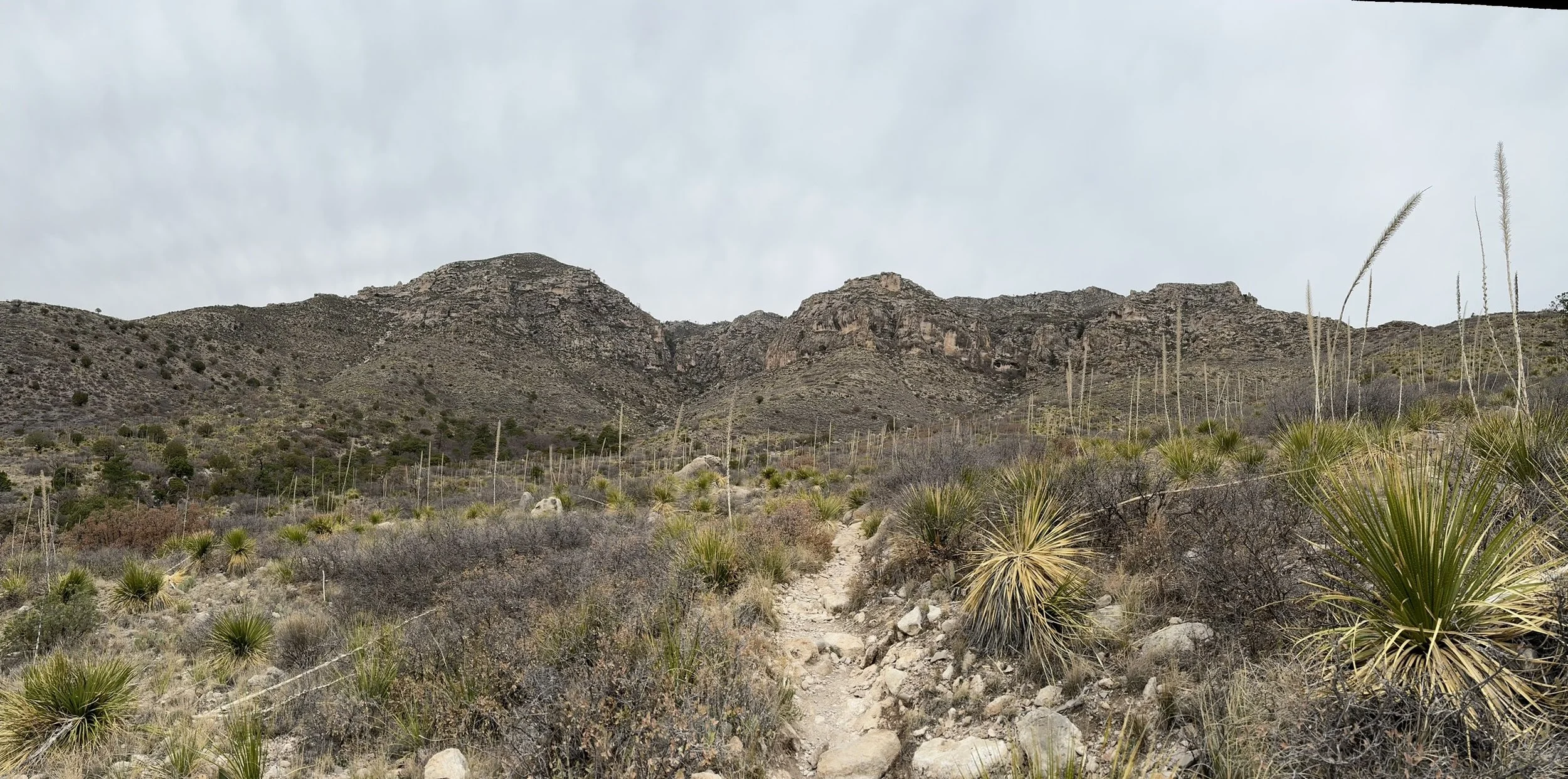 Smith Springs Trail, Guadalupe Mountains National Park, Texas