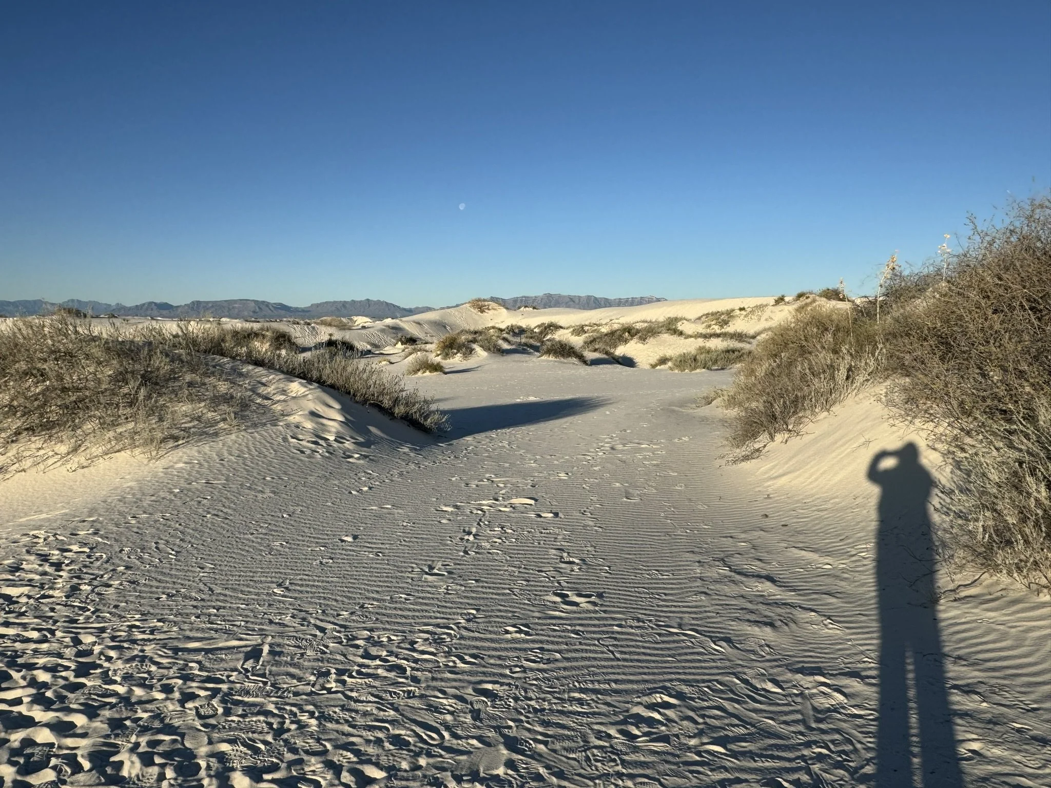 33427670-B5A2-43ED-B6DD-62E26C05DFC6_1_102_o.jpeg