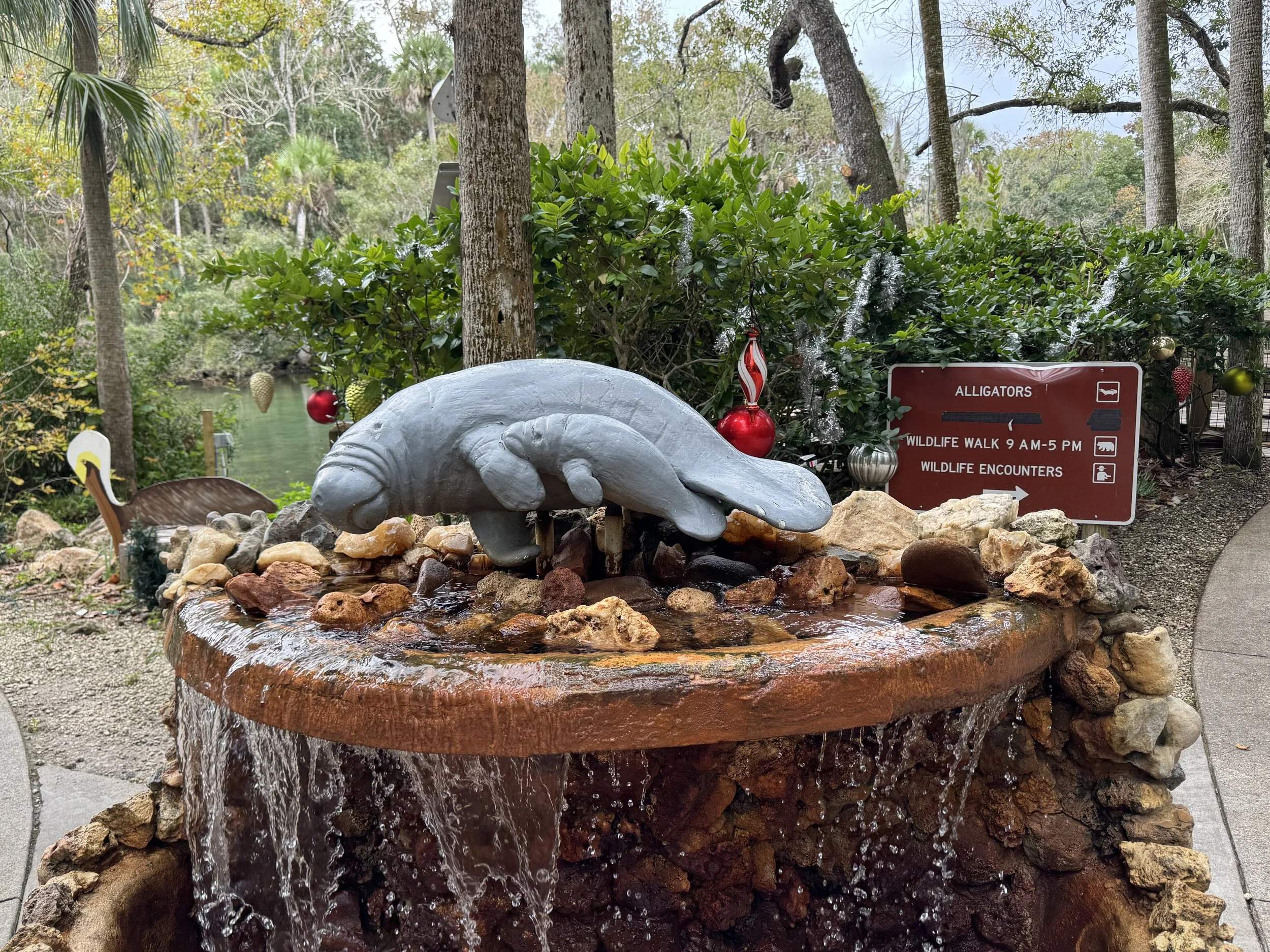 Manatee Water Fountain, Homosassa Springs State Park, Florida