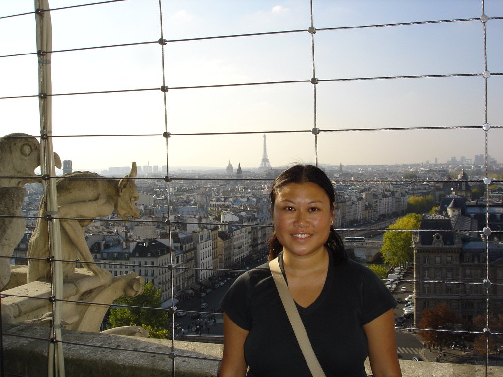 View from top of Notre-Dame 