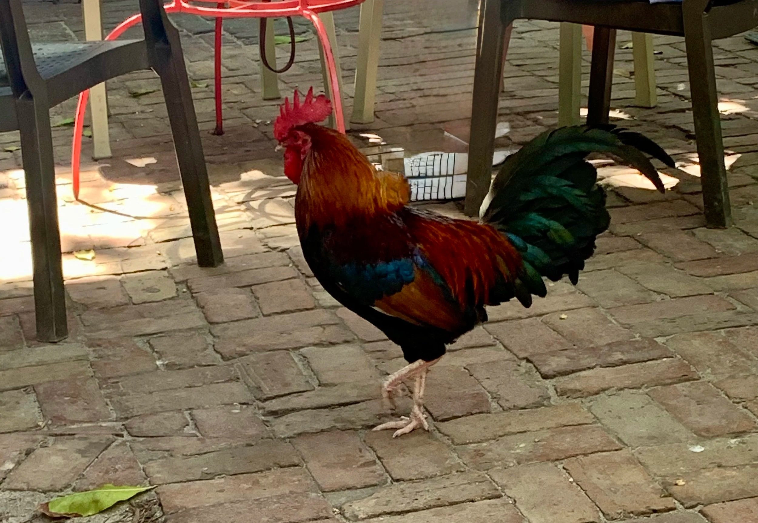 Sunset View of the Seven Mile Bridge from Marathon, Florida