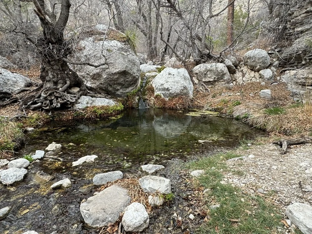 Smith Springs, Guadalupe Mountains National Park, Texas