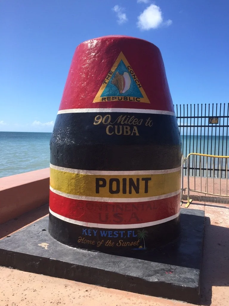 Florida iguana, Playa Largo Resort and Spa, Key Largo, Florida