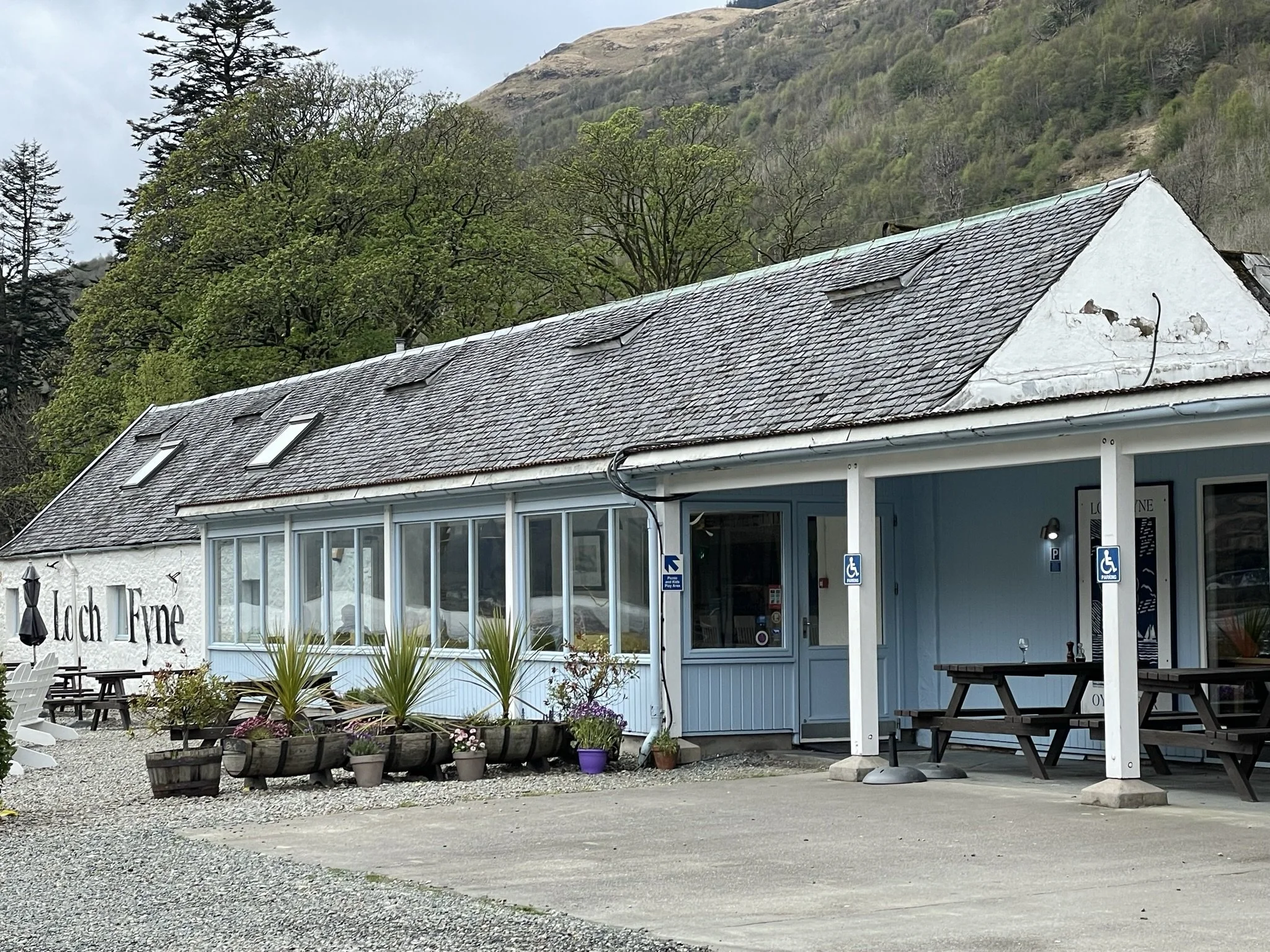 Loch Fyne Oysters