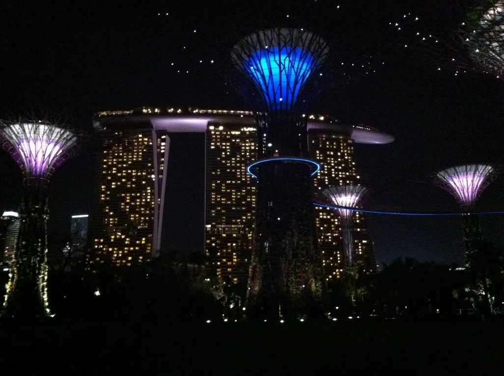 Marina Bay Sands and The Supertrees, Singapore