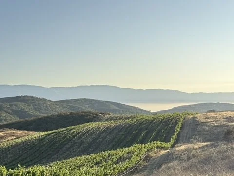 View at Inn at the Pinnacles, Soledad, CA