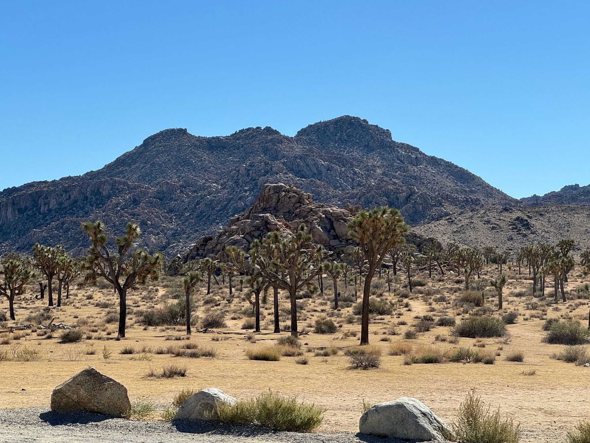 Joshua Tree National Park, CA