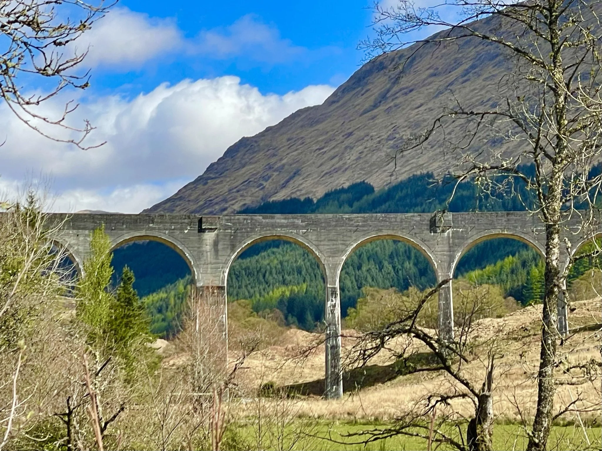 Glenfinnan Viaduct (During the Walk)