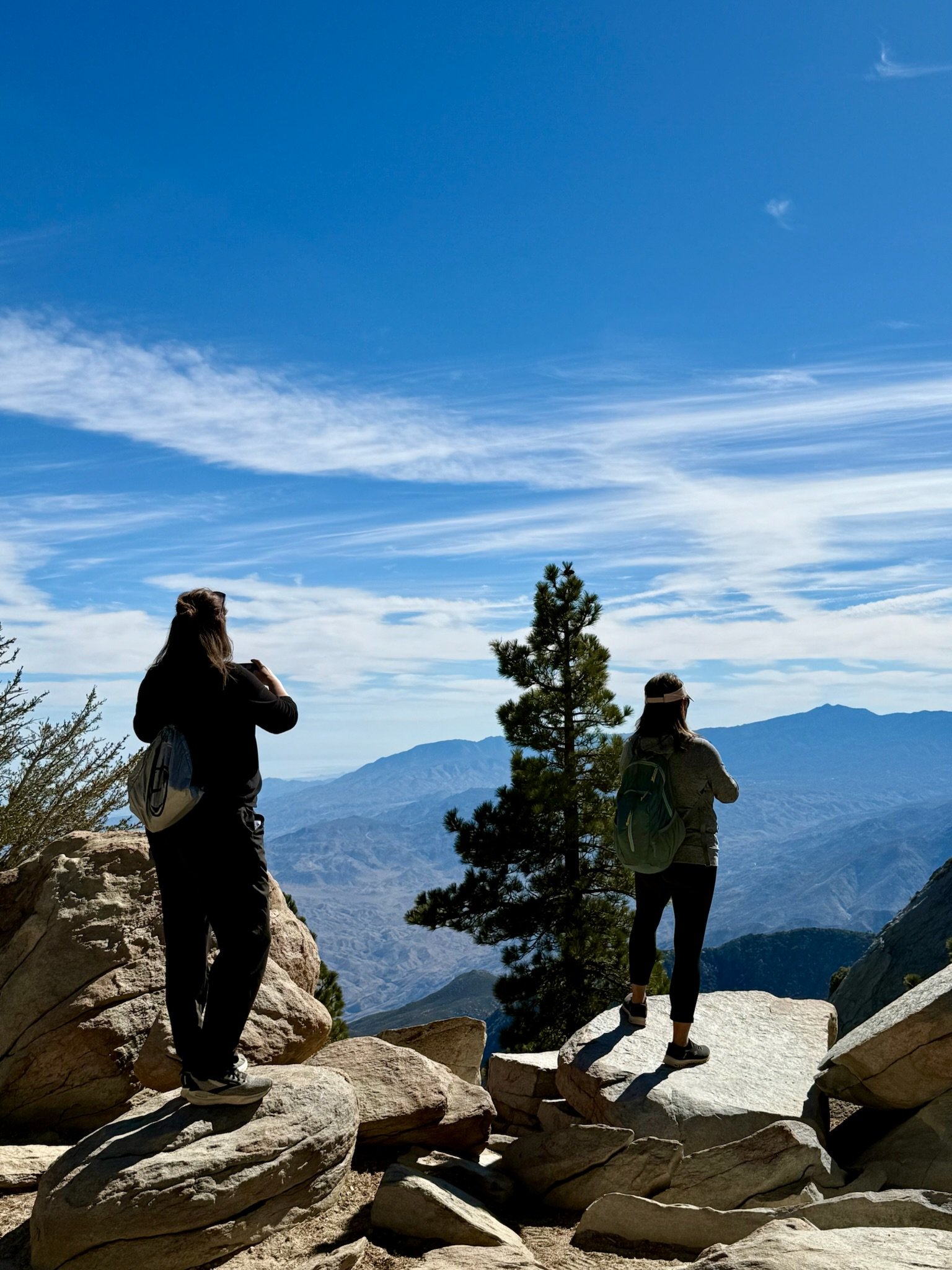 Desert View Trail, Palm Springs Aerial Tram, CA