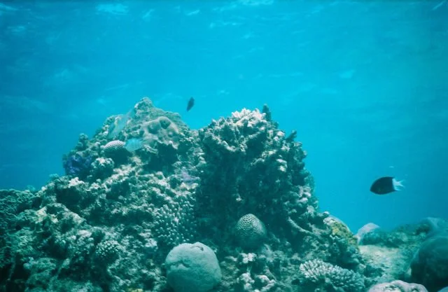 Great Barrier Reef, Australia