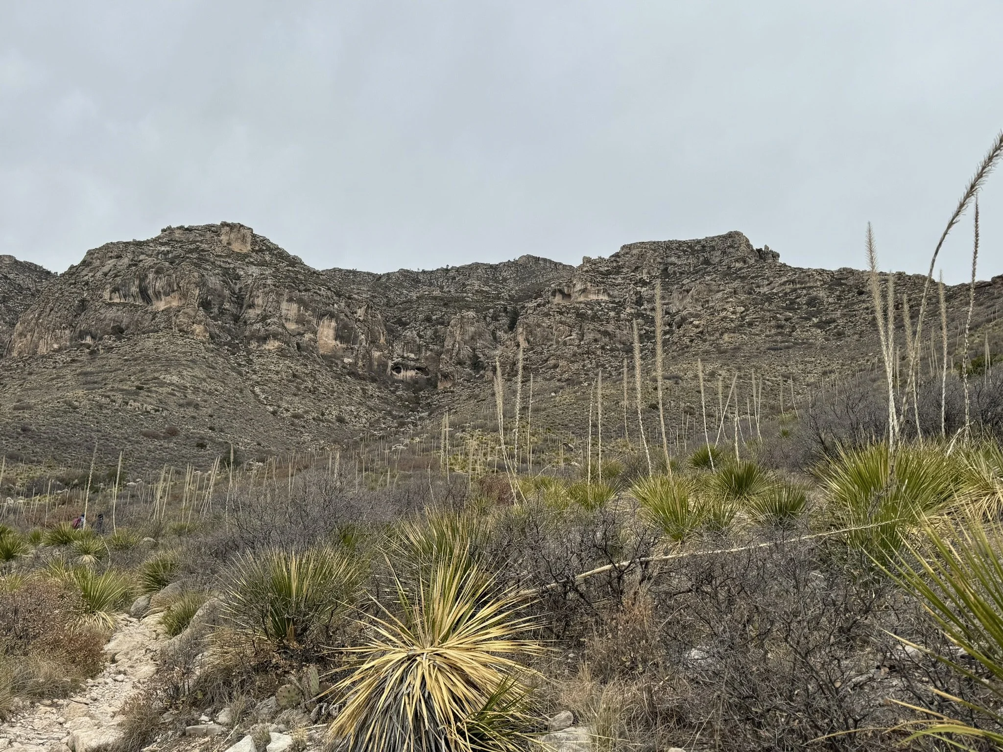 Smith Springs Trail, Guadalupe Mountains National Park, Texas
