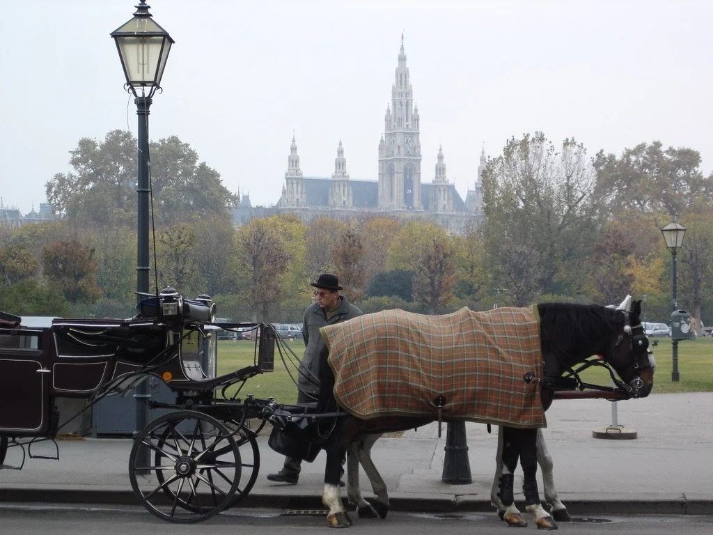 Street in Vienna