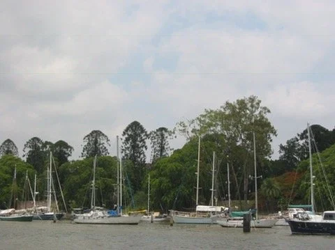 Brisbane River Tour, Australia