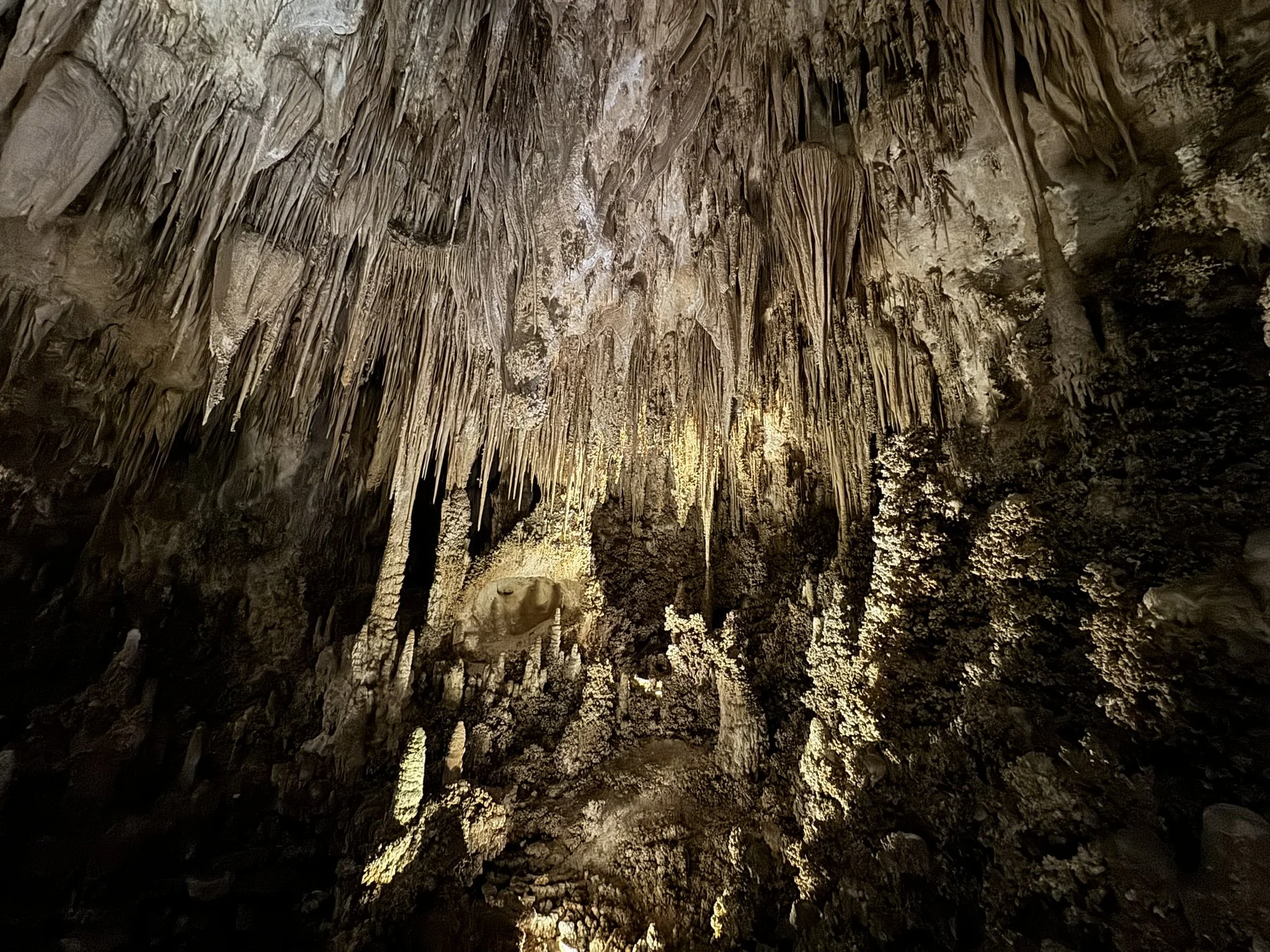 Carlsbad Caverns
