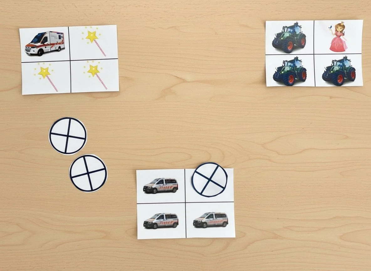 Fahrzeuge und Prinzessinnen | Was passt nicht? | ab 2 Jahren | Montessori inspiriert