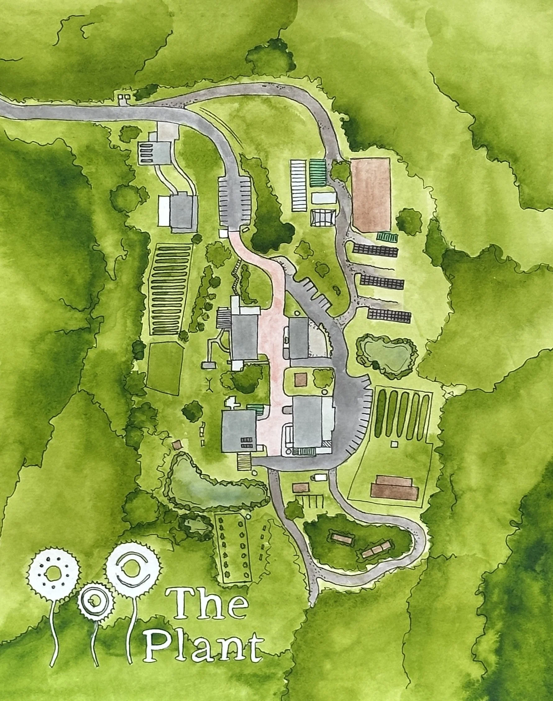 Plant watercolor.jpg