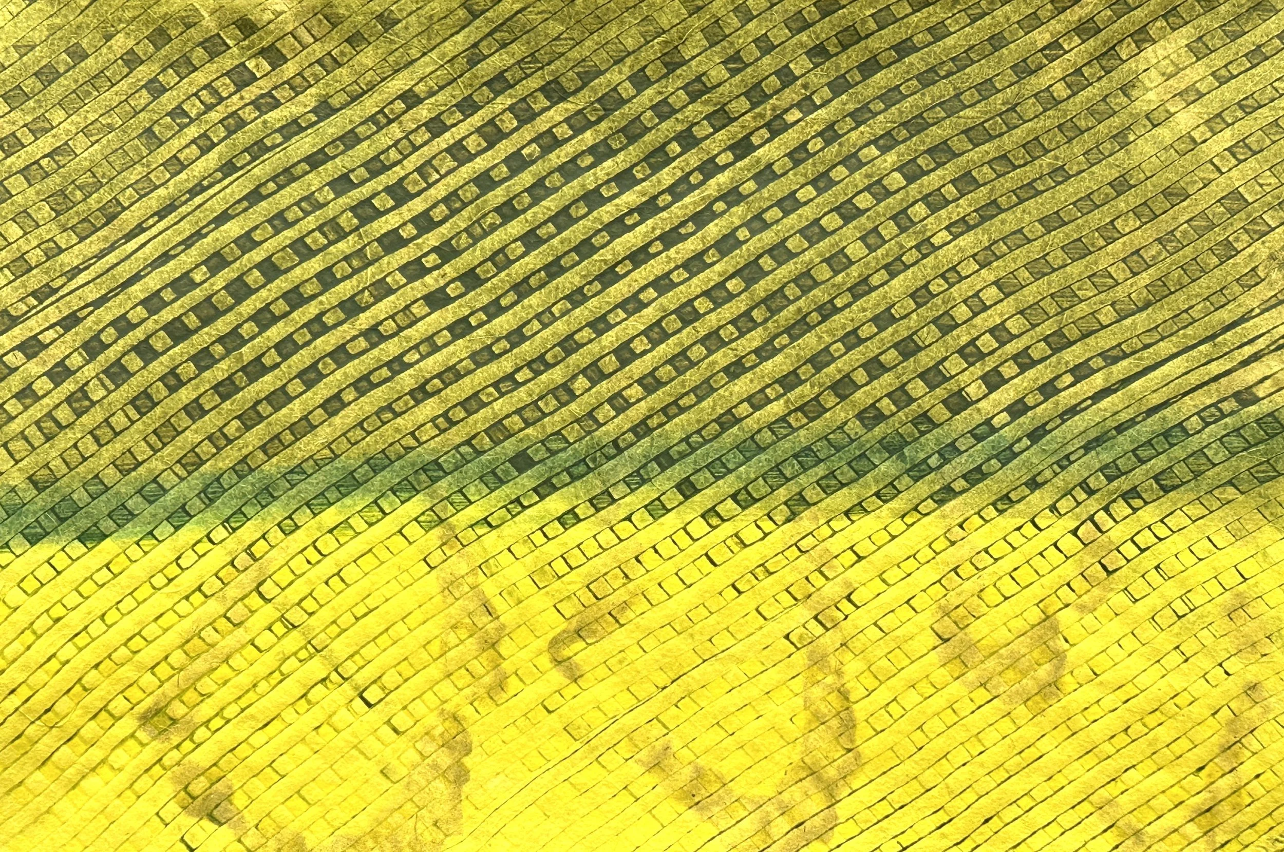 ROAM:  Surface Treatment Workshop