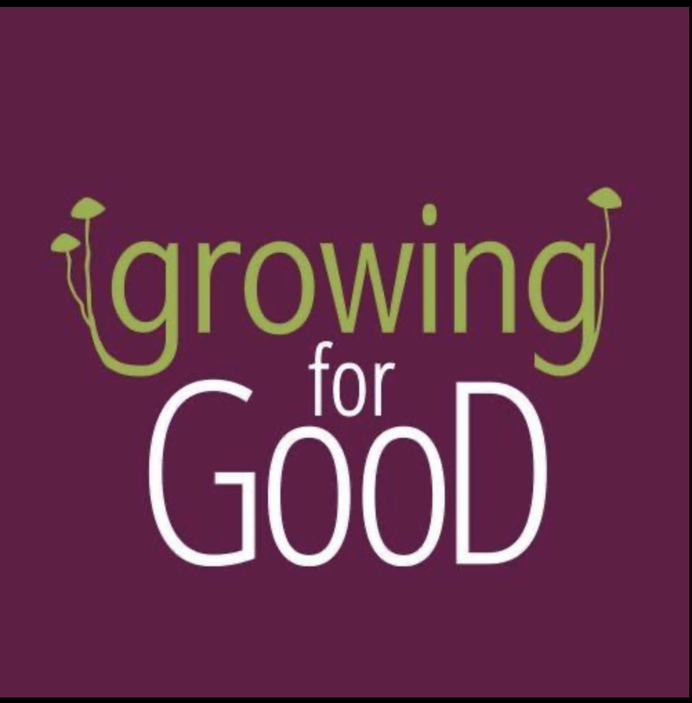 Screenshot 2025-11-22 at 7.34.25 PM.png