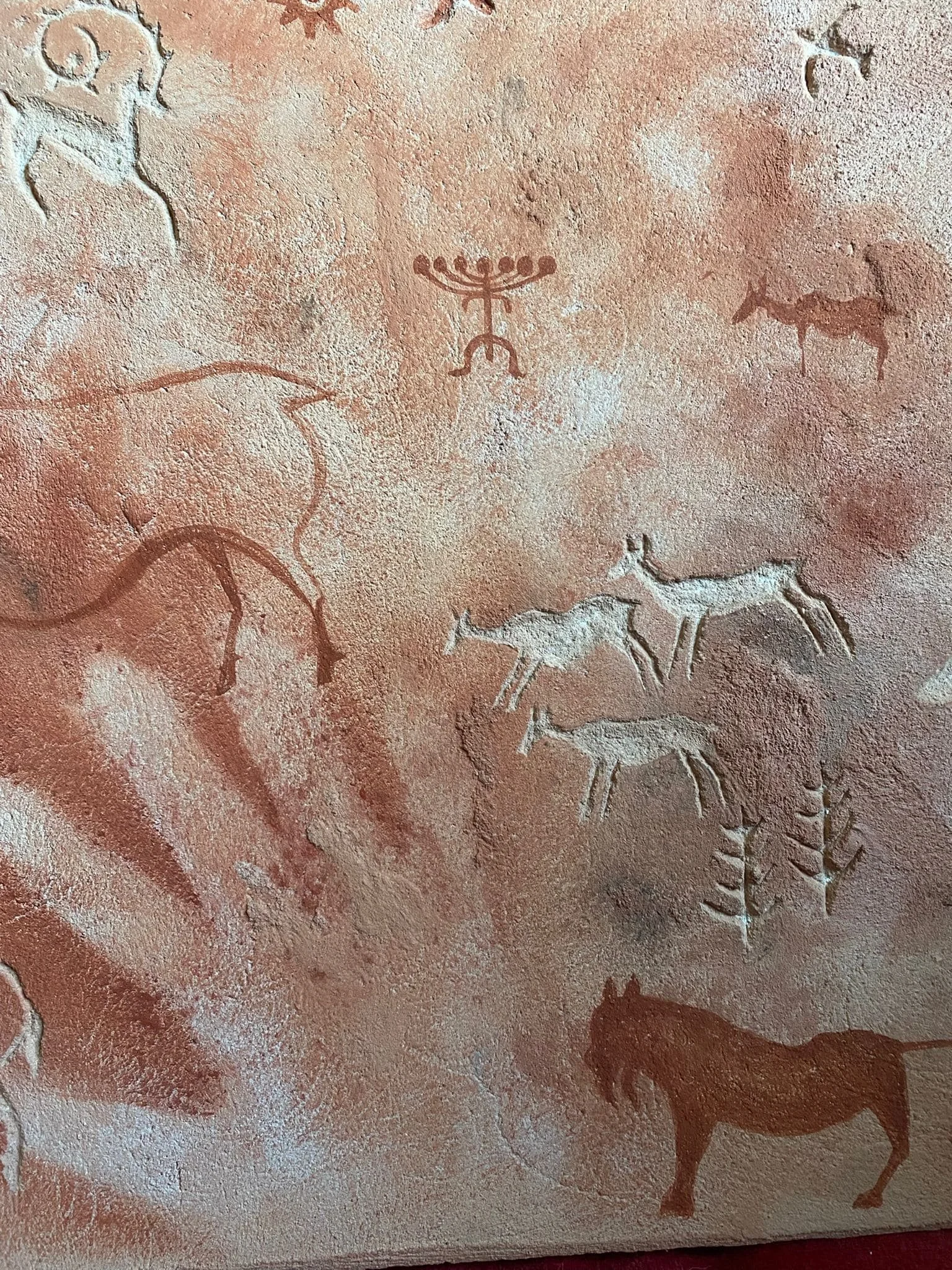 WhatsApp Image 2026-03-19 at 11.17.06 (2).jpeg