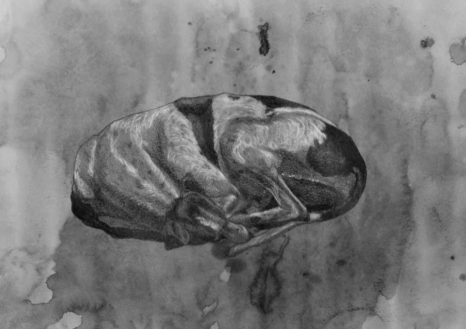 ©Lana-Tiphaine Branca-2022.jpg