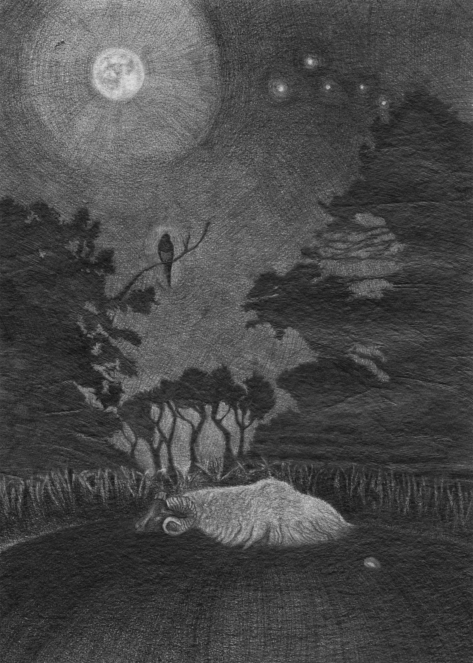  Ainsi va la vie terrestre , graphite sur papier, 30 x 40 cm, 2024