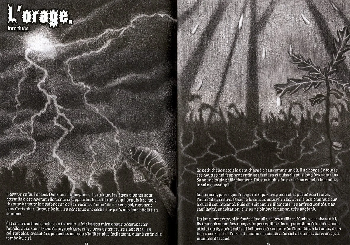 ORAGE-CUI-CUI.jpg