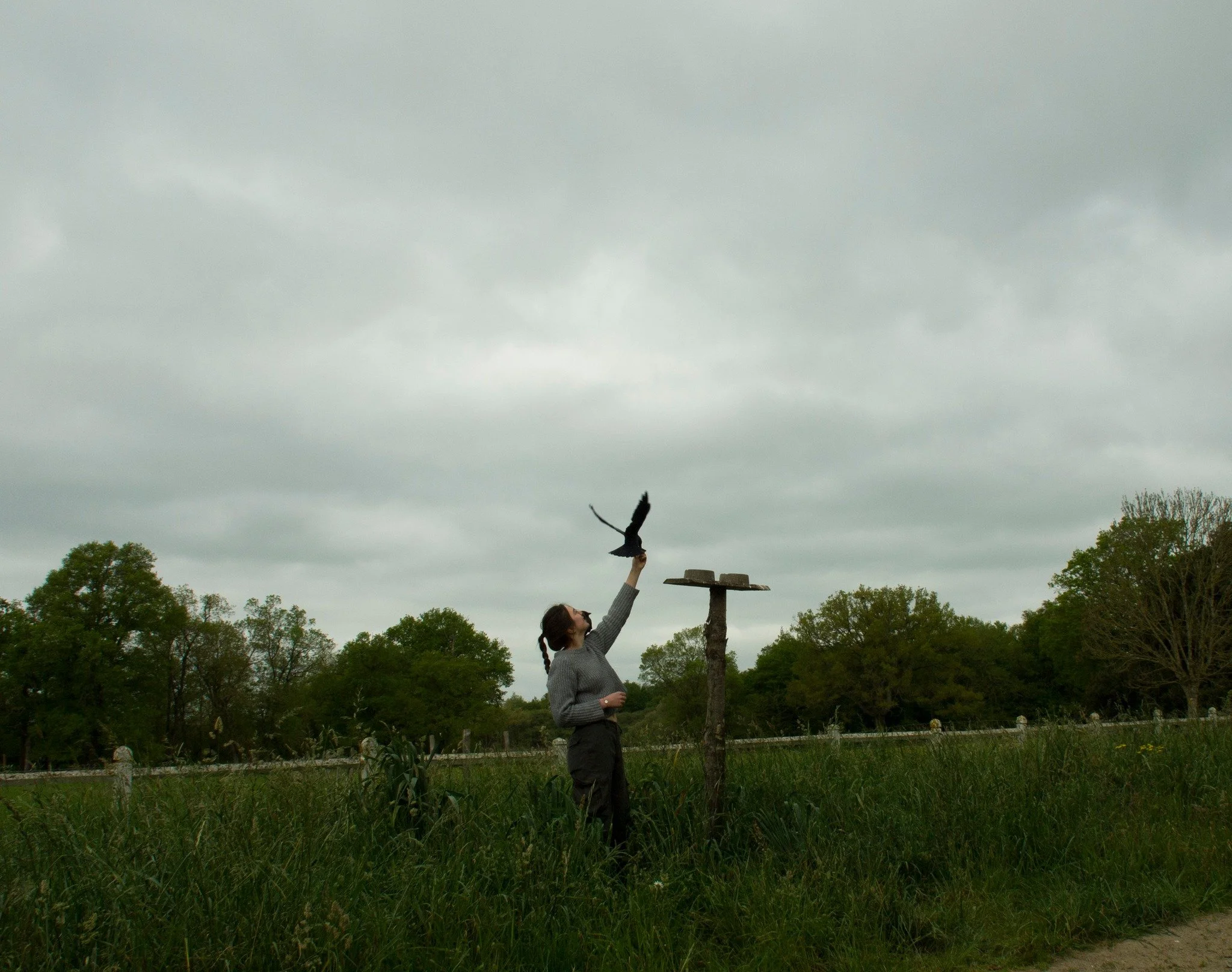 Une femme libérant un oiseau noir dans un champ verdoyant sous un ciel nuageux.