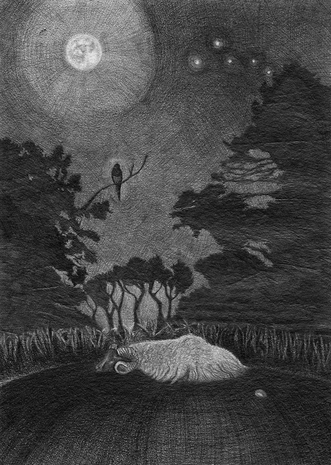 Une scène nocturne avec la pleine lune, des étoiles et un ciel nuageux, des arbres, un oiseau sur une branche, et un animal endormi dans l'herbe.