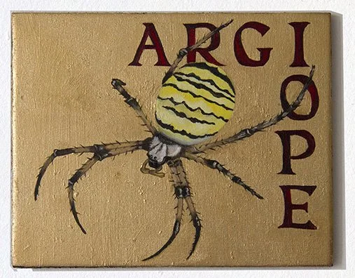 argiote.jpg