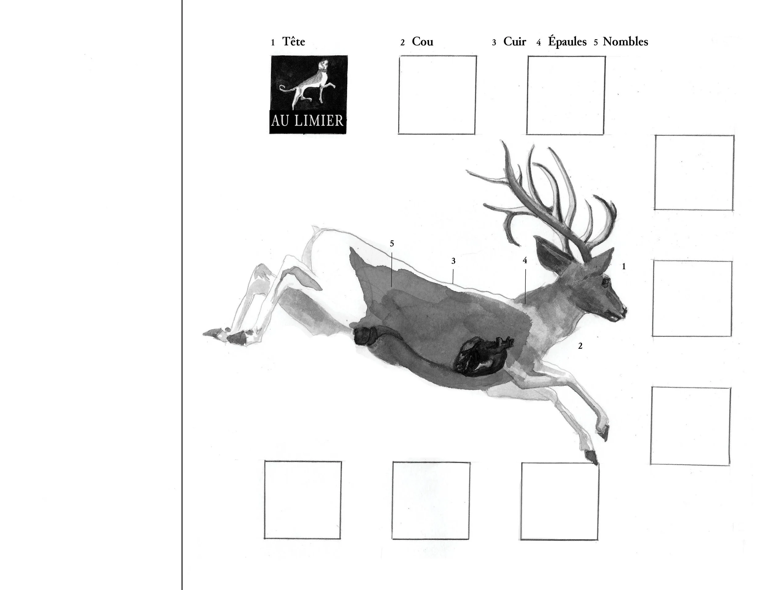 Cerf-croquis2-Tiphaine-Branca.jpg