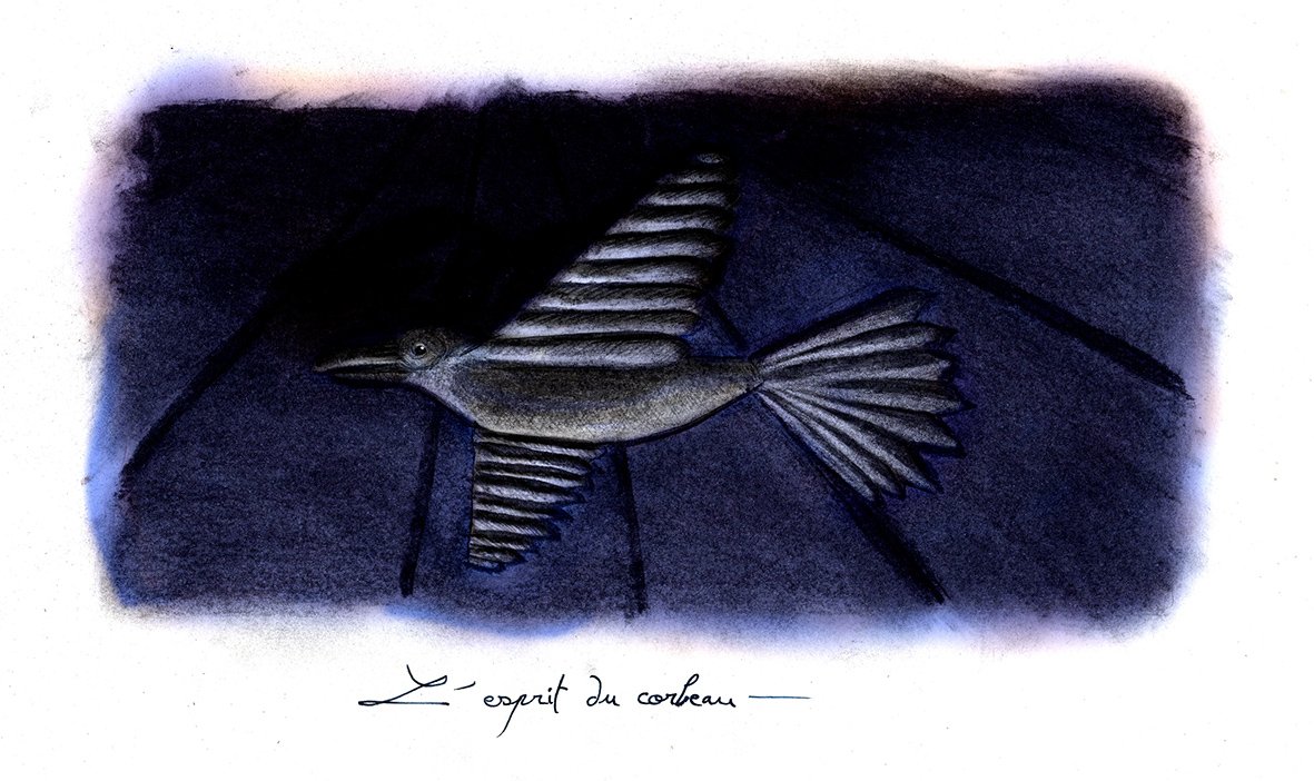 2-corbeau-tente-couleurs.jpg
