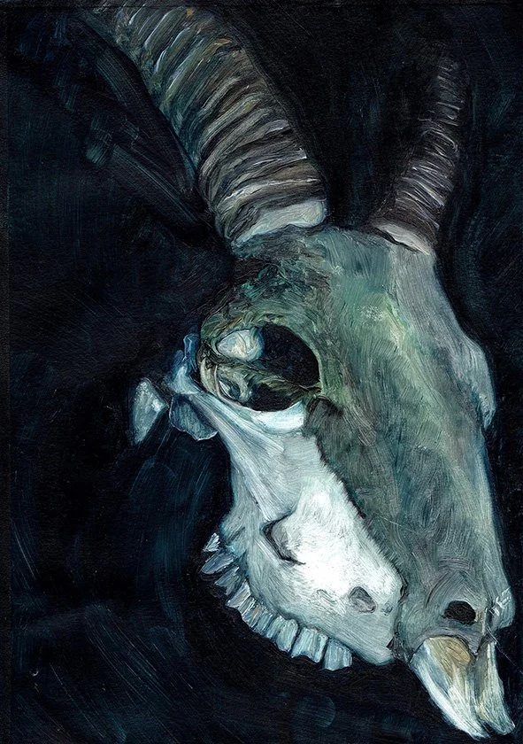  Crâne de Soay , huile sur papier, 26 x 20 cm, 2022
