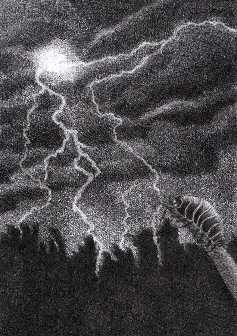 Orage-Tiphaine-Branca.jpg