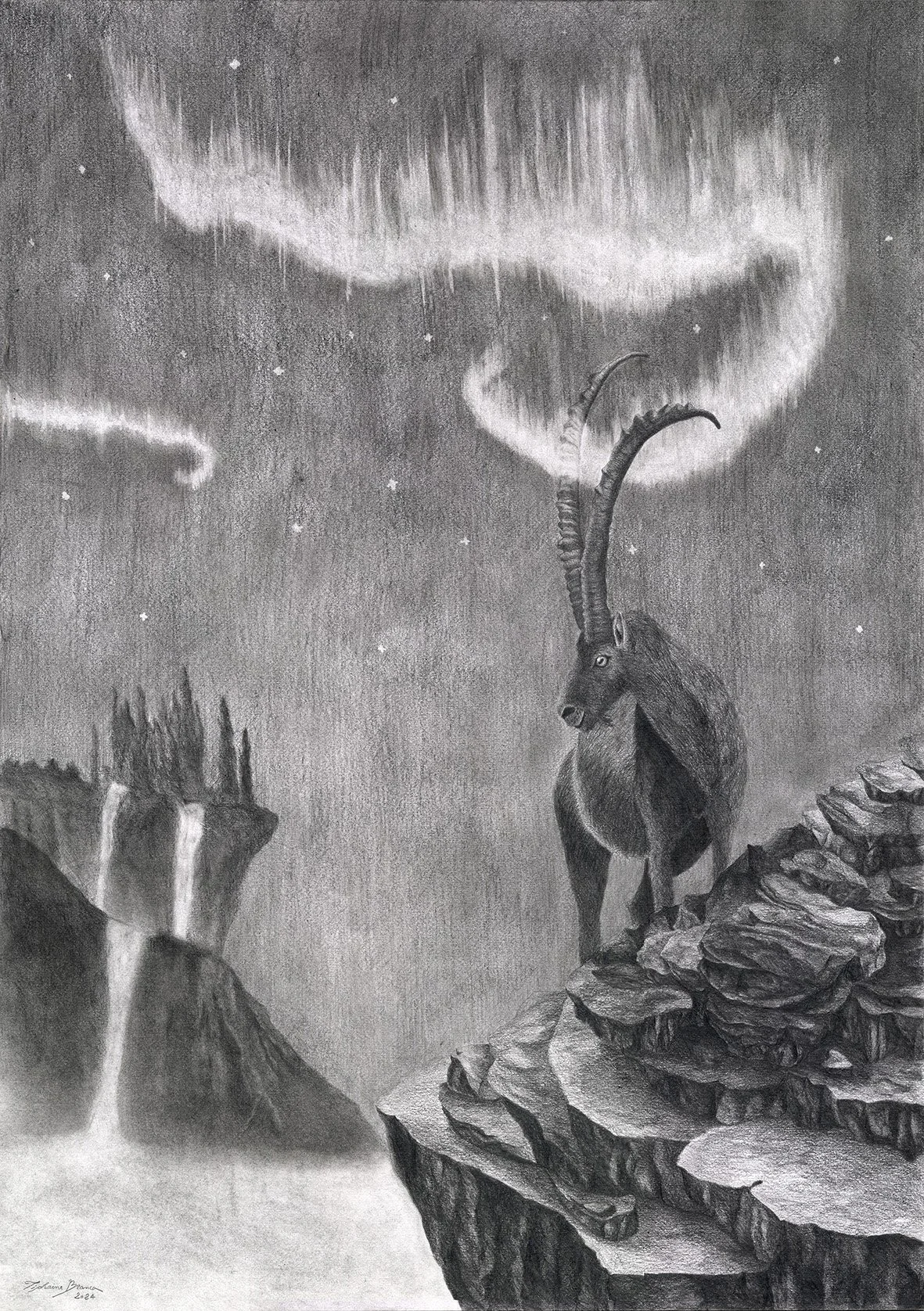  Capter les étoiles , graphite sur papier, 60 x 42 cm, 2024