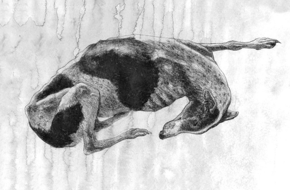 ©Afshane-Tiphaine Branca-2022.jpg