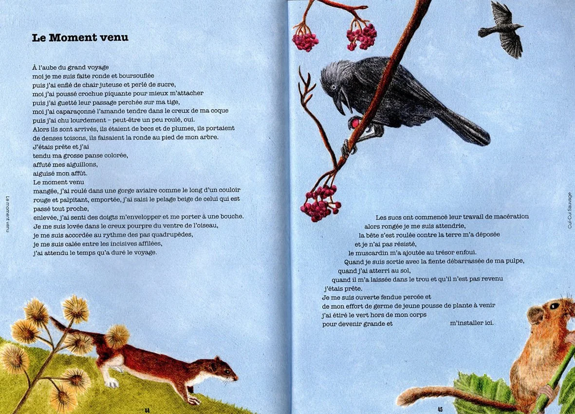 CUI-CUI-LE MOMENT VENU.jpg