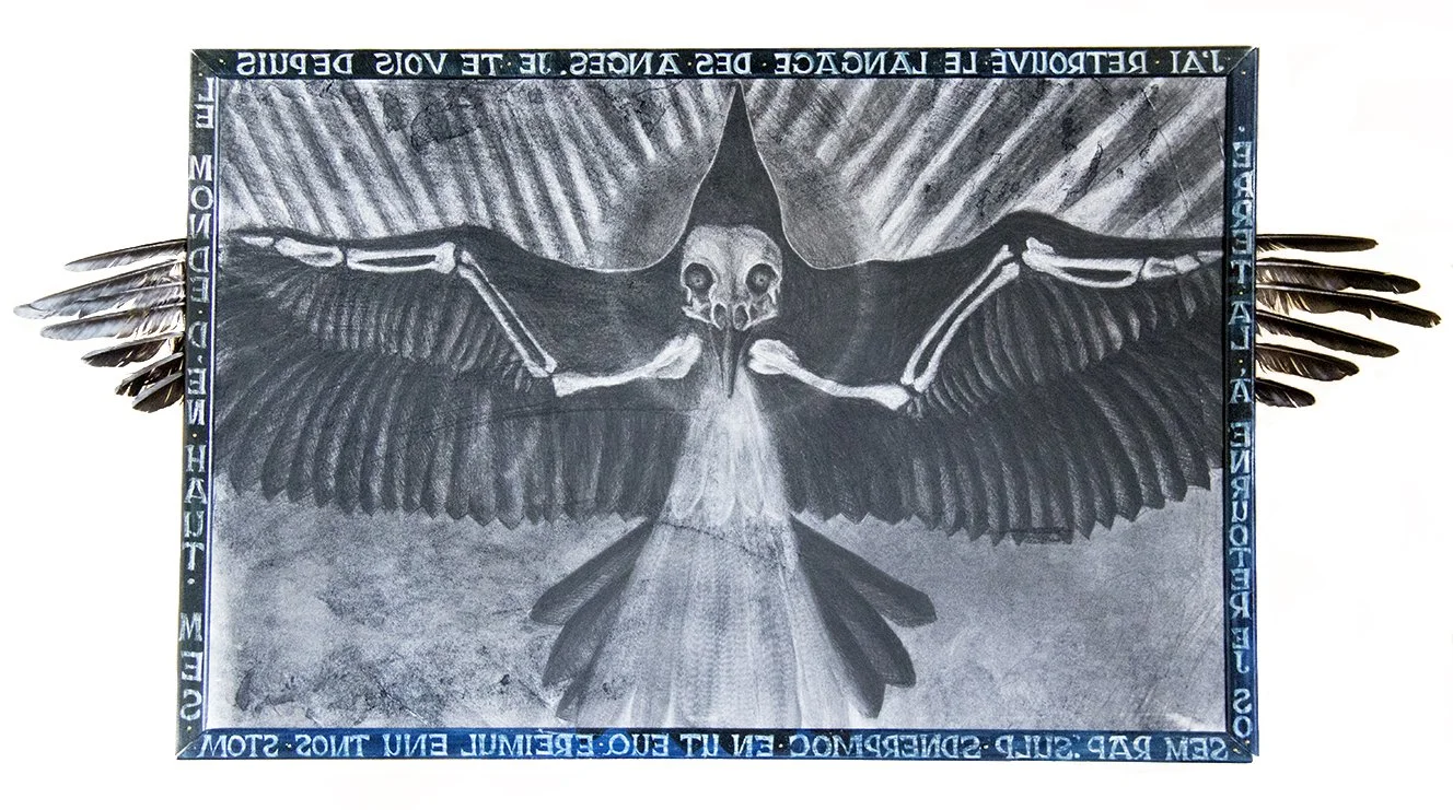  Aslan , fusain sur papier, plumes de corbeau, 61 x 93 cm, 2024