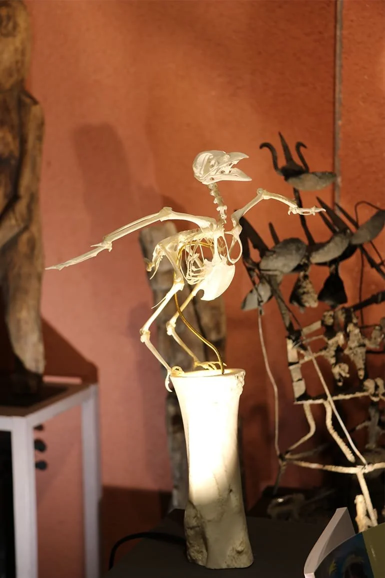 Une sculpture en os ou en plastique représentant un petit dinosaure ou un dragon, posée sur un pied en forme de vase lumineux, dans une pièce avec un mur orange en arrière-plan.