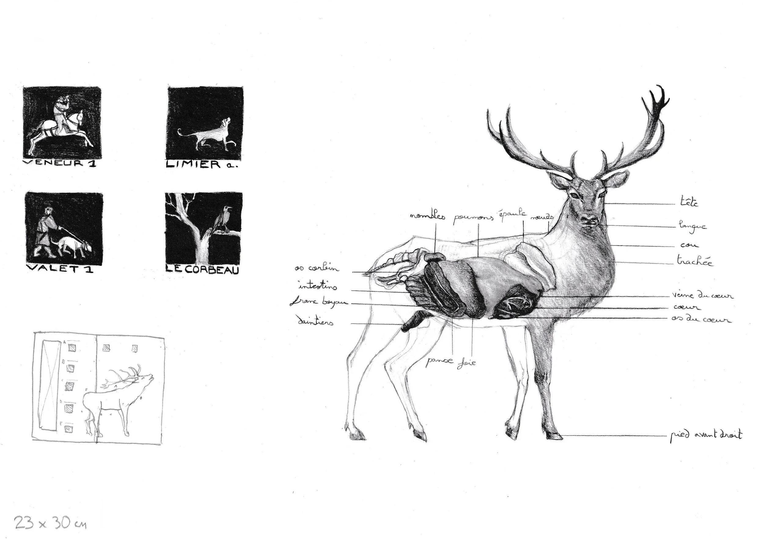 Cerf-croquis-Tiphaine-Branca.jpg