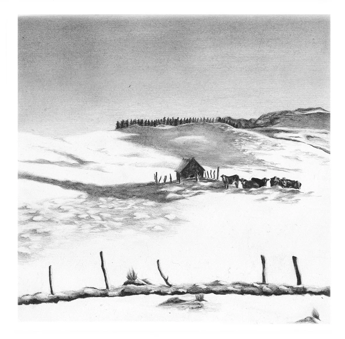 ©Auvergne-Tiphaine Branca-2021.jpg