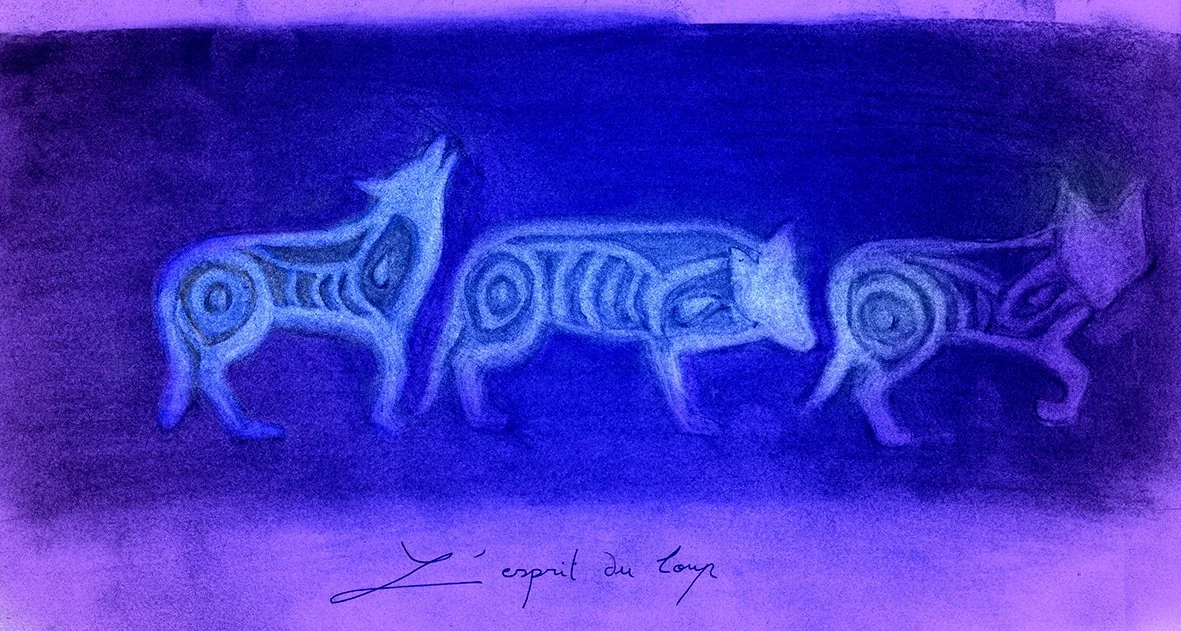 3-loups-couleurs.jpg