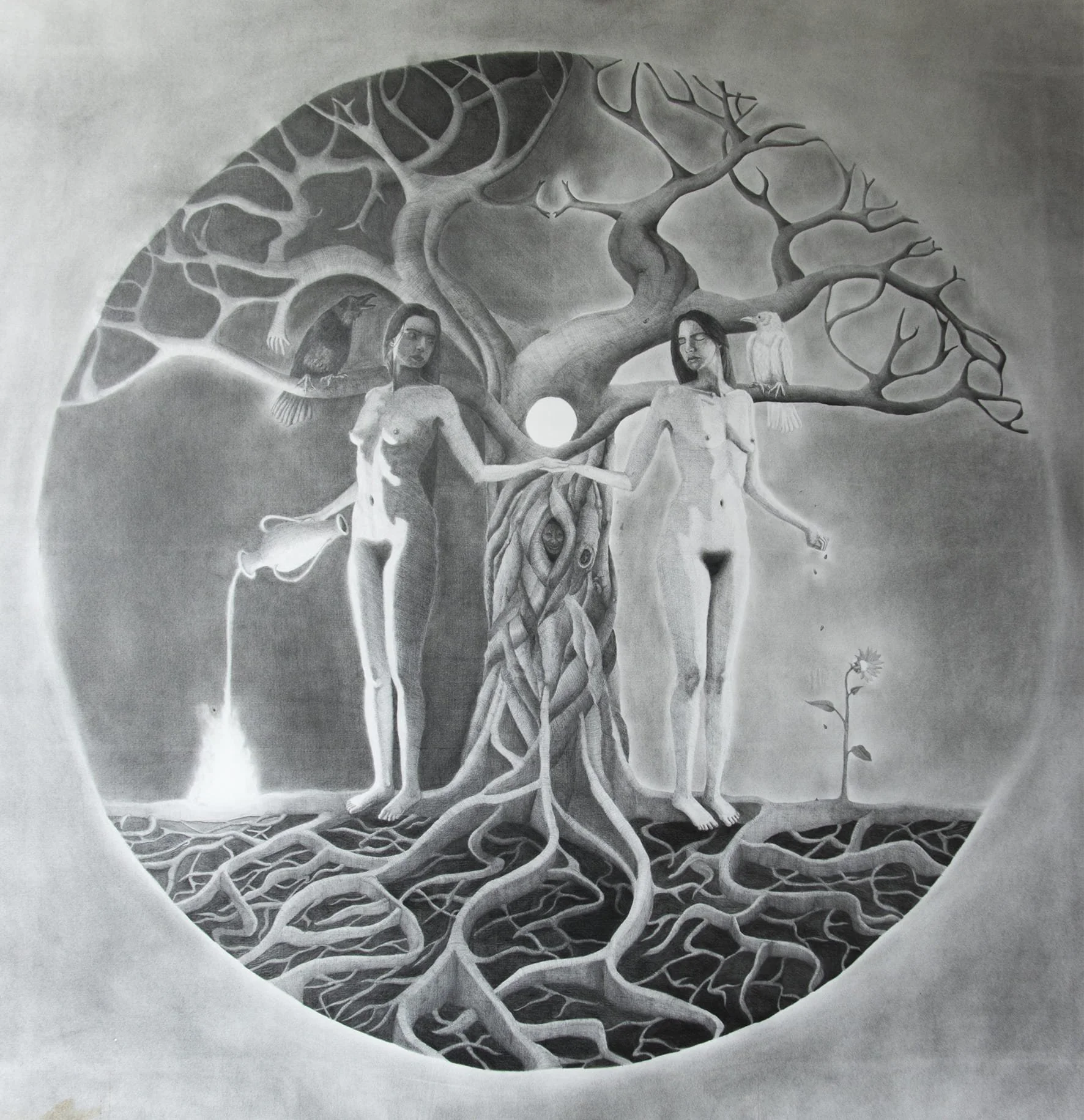  Les Semeuses , graphite sur papier, 100 x 100 cm, 2025