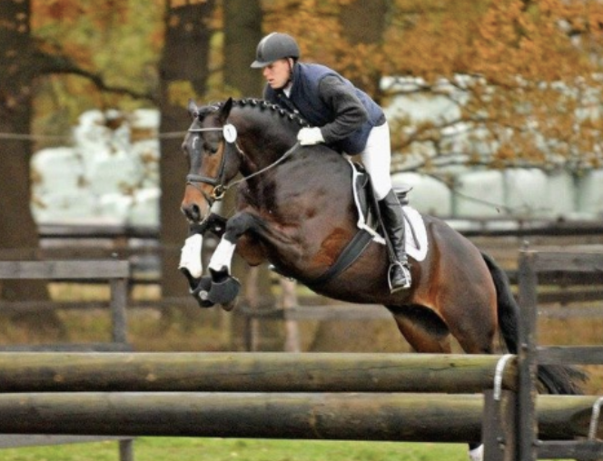 herzendieb-jump.png