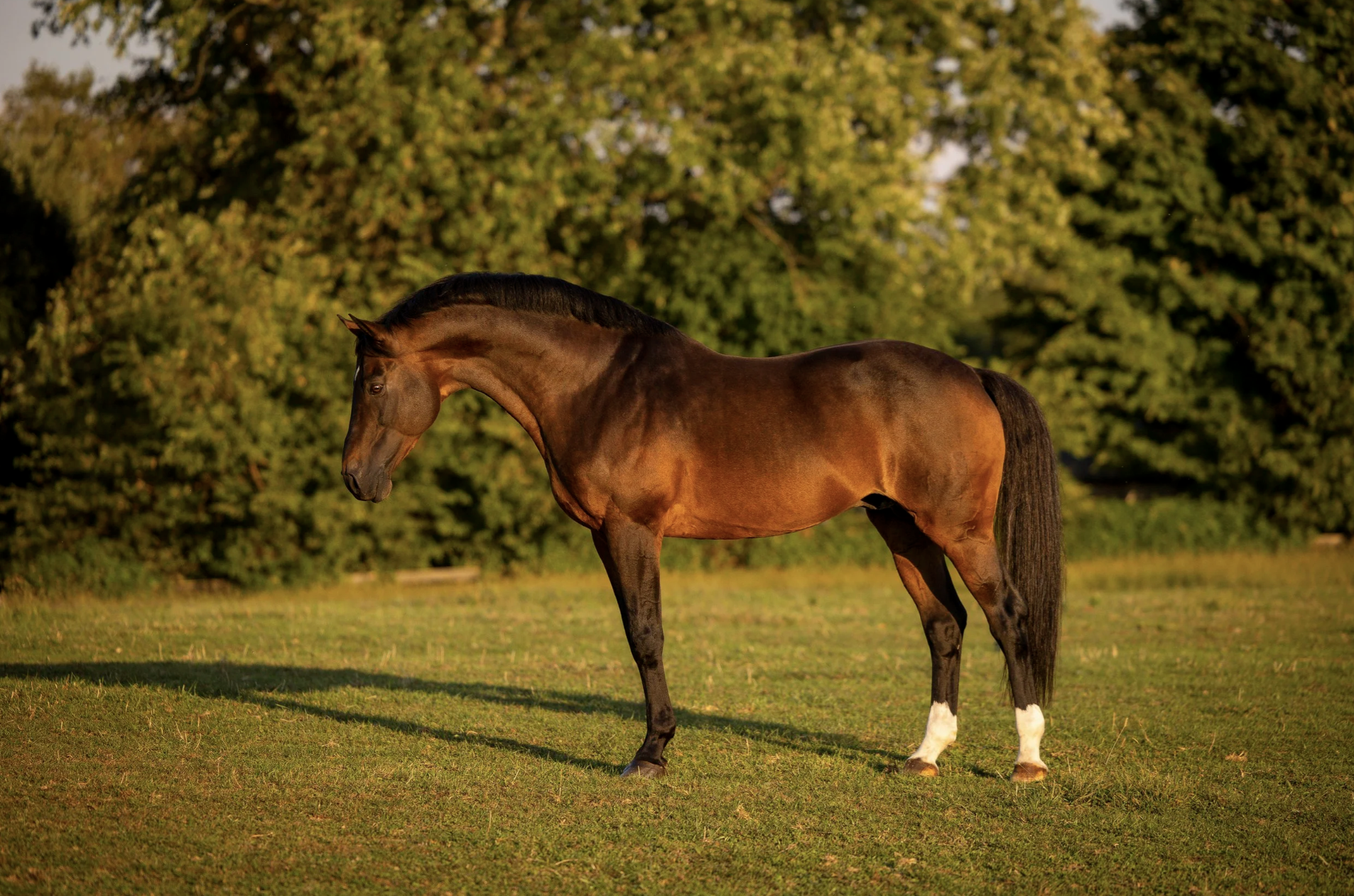 orbetello standing.png