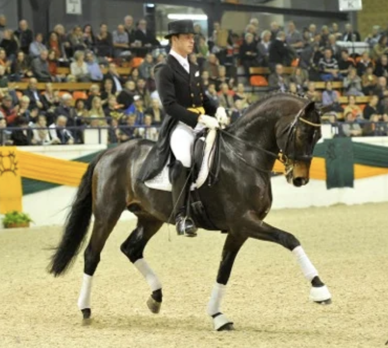 herzendieb-dressage.png