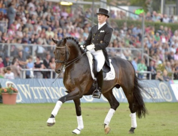 herzendieb-dressage3.png